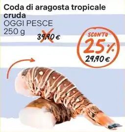 Gelmarket Coda di aragosta tropicale offerta