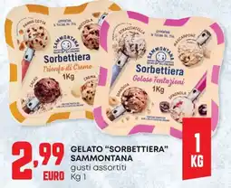 Panorama Gelato "Sorbettiera" Sammontana offerta