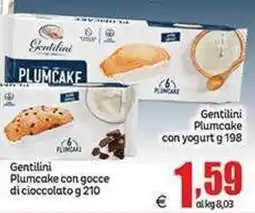 Elite Gentilini Plumcake con yogurt offerta