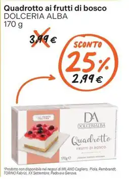 Gelmarket Quadrotto ai frutti di bosco DOLCERIA ALBA offerta