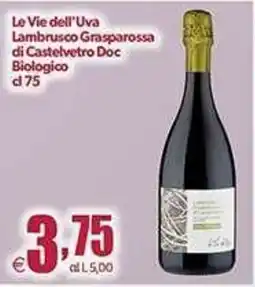 Elite Le Vie dell'Uva Lambrusco Grasparossa di Castelvetro Doc Biologico offerta