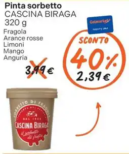 Gelmarket Pinta sorbetto CASCINA BIRAGA offerta