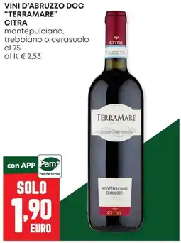 Panorama Vini d'Abruzzo DOC "Terramare" Citra offerta