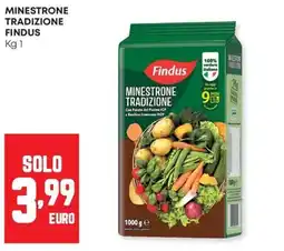 Panorama Minestrone Tradizione Findus offerta
