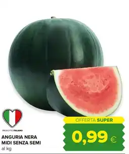 Tigre Amico ANGURIA NERA MIDI SENZA SEMI offerta