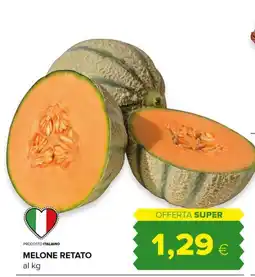 Tigre Amico MELONE RETATO offerta