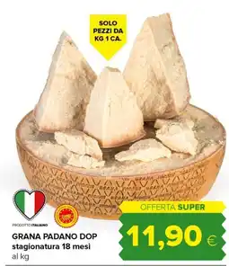 Tigre Amico GRANA PADANO DOP offerta