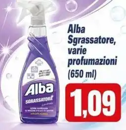 Sanitaria Demma Alba Sgrassatore offerta