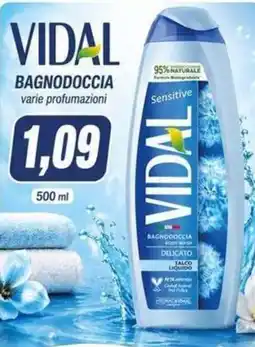 Sanitaria Demma VIDAL BAGNODOCCIA Sensitive offerta