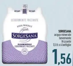Ciro Amodio Acqua minerale Sorgesana offerta