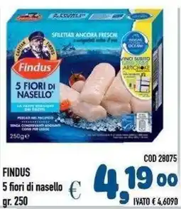 Del Prete Distribuzioni Findus 5 fiori di nasello offerta