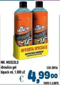 Del Prete Distribuzioni Mr. Muscle idraulico gel offerta
