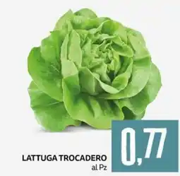 PRO7 Supermercati LATTUGA TROCADERO offerta