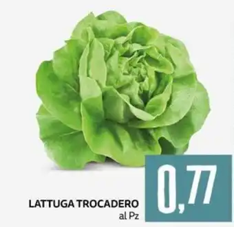 PRO7 Supermercati LATTUGA TROCADERO offerta