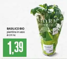 PRO7 Supermercati BASILICO BIO offerta