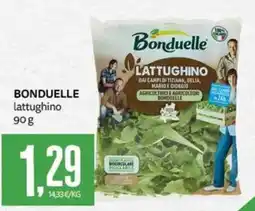 PRO7 Supermercati BONDUELLE lattughino offerta