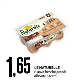 PRO7 Supermercati LE NATURELLE 6 uova fresche grandi allevate a terra offerta