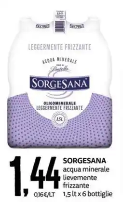 PRO7 Supermercati Sorgesana acqua minerale lievemente frizzante offerta