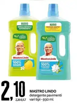 PRO7 Supermercati Mastro Lindo detergente pavimenti offerta