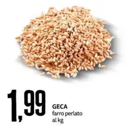 PRO7 Supermercati GECA farro perlato offerta