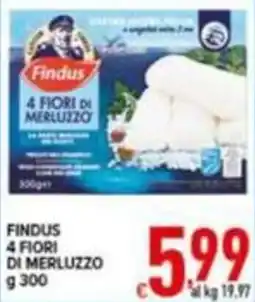Iper Triscount Findus 4 Fiori di Merluzzo offerta