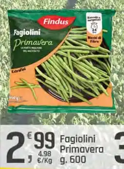 Supermercati Dok Fagiolini Primavera Findus offerta