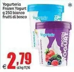 Elite Yogurteria Frozen Yogurt offerta