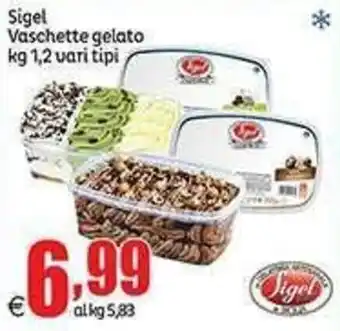 Elite Sigel Vaschette gelato offerta
