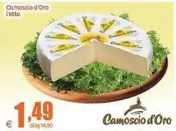 Elite Camoscio d'Oro offerta