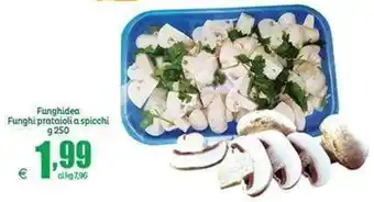 Funghidea Funghi prataioli a spicchi