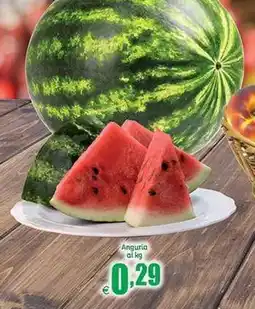 Elite Anguria offerta