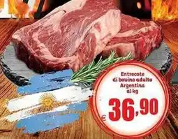 Elite Entrecote di bovino adulto Argentina offerta
