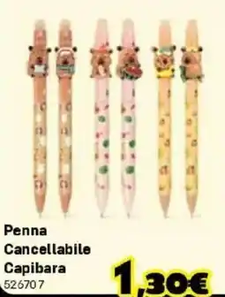 Orizzonte Penna Cancellabile Capibara offerta