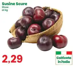 Prix Quality Susine Scure offerta