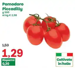 Prix Quality Pomodoro Piccadilly offerta
