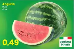 Prix Quality Anguria offerta