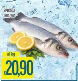 Mercadò SPIGOLA offerta