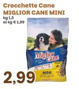 Prix Quality Crochette Cane Miglior Cane Mini offerta