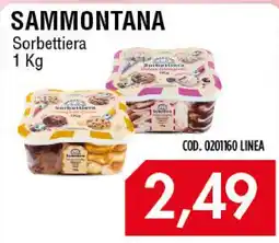 Carico Cash & Carry Sammontana Sorbettiera offerta