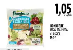 Carico Cash & Carry BONDUELLE INSALATA MISTA CLASSICA offerta