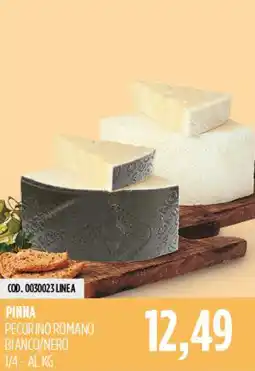 Carico Cash & Carry PINNA PECORINO ROMANO BIANCO/NERO offerta