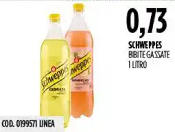 Carico Cash & Carry Schweppes Bibite Gassate offerta