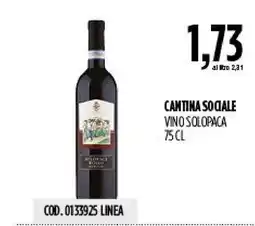 Carico Cash & Carry Cantina Sociale Vino Solopaca offerta