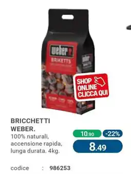 Cfadda Bricchetti weber offerta