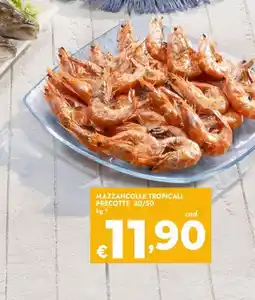 Bennet Mazzancolle tropicali precotte offerta