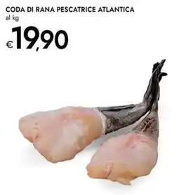 Bennet CODA DI RANA PESCATRICE ATLANTICA offerta