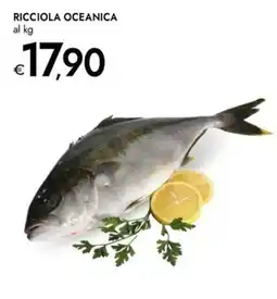 Bennet RICCIOLA OCEANICA offerta