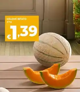 Bennet Melone retato offerta