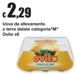 Sì con te Uova da allevamento ovito offerta