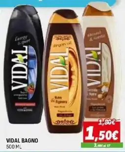 Orizzonte VIDAL BAGNO offerta